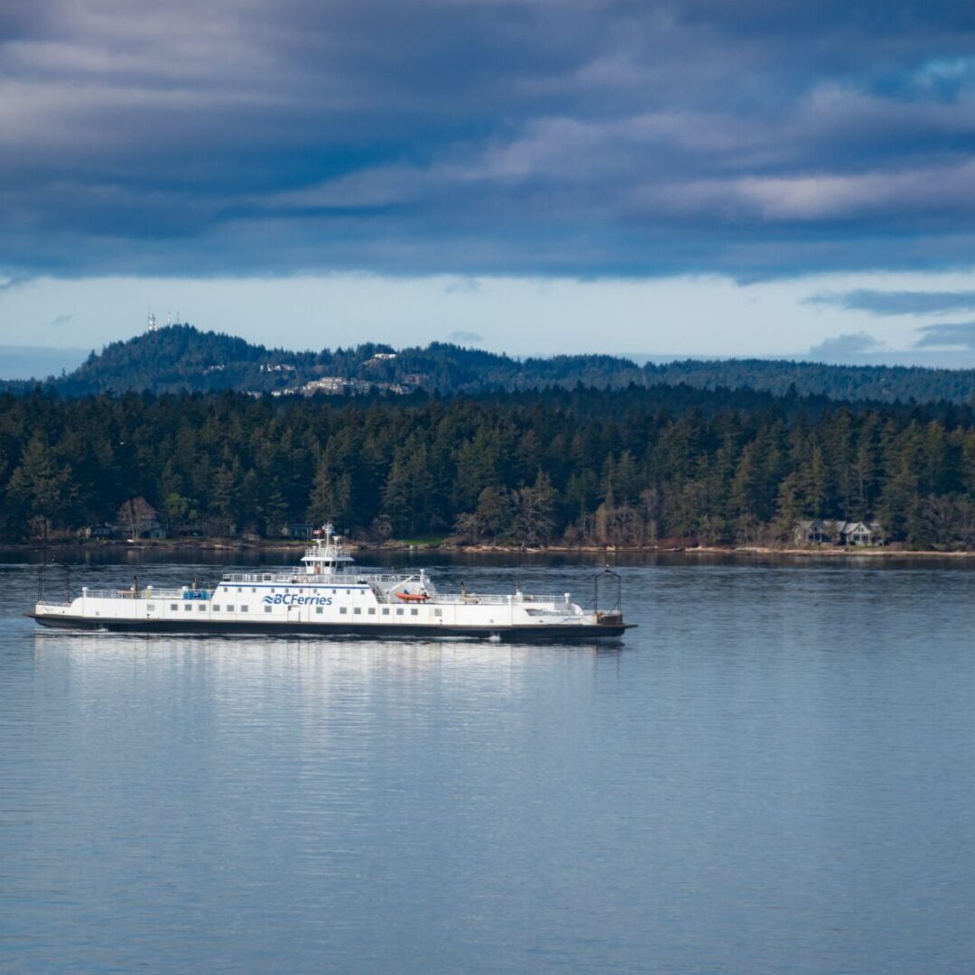 andrew-gazula-Un6aPcqL9Z0-unsplash A cruise ship and a forest and mountain in the background